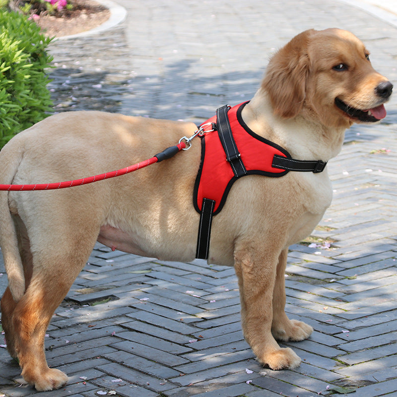 Nylon Medium & Large Dog Harness / Collar / K9 Padded